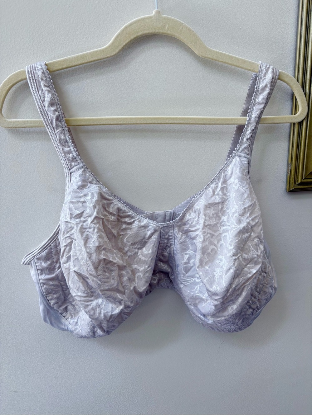 Playtex Full Coverage Lace-Detail Bra — Light Lavender